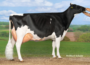 MISS MABEL EX90