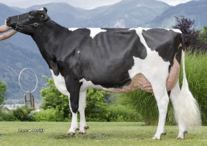 GABI VG-89