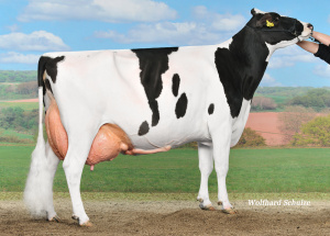 MALENA EX-90