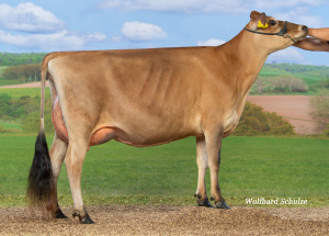 TRIXI VG85