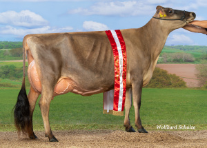 SERENITY EX92