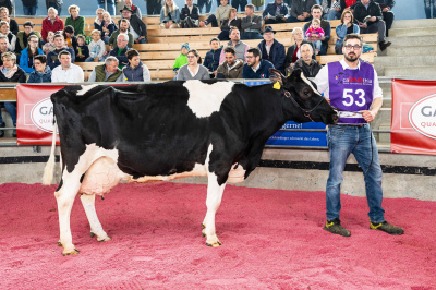 JANINA EX 90