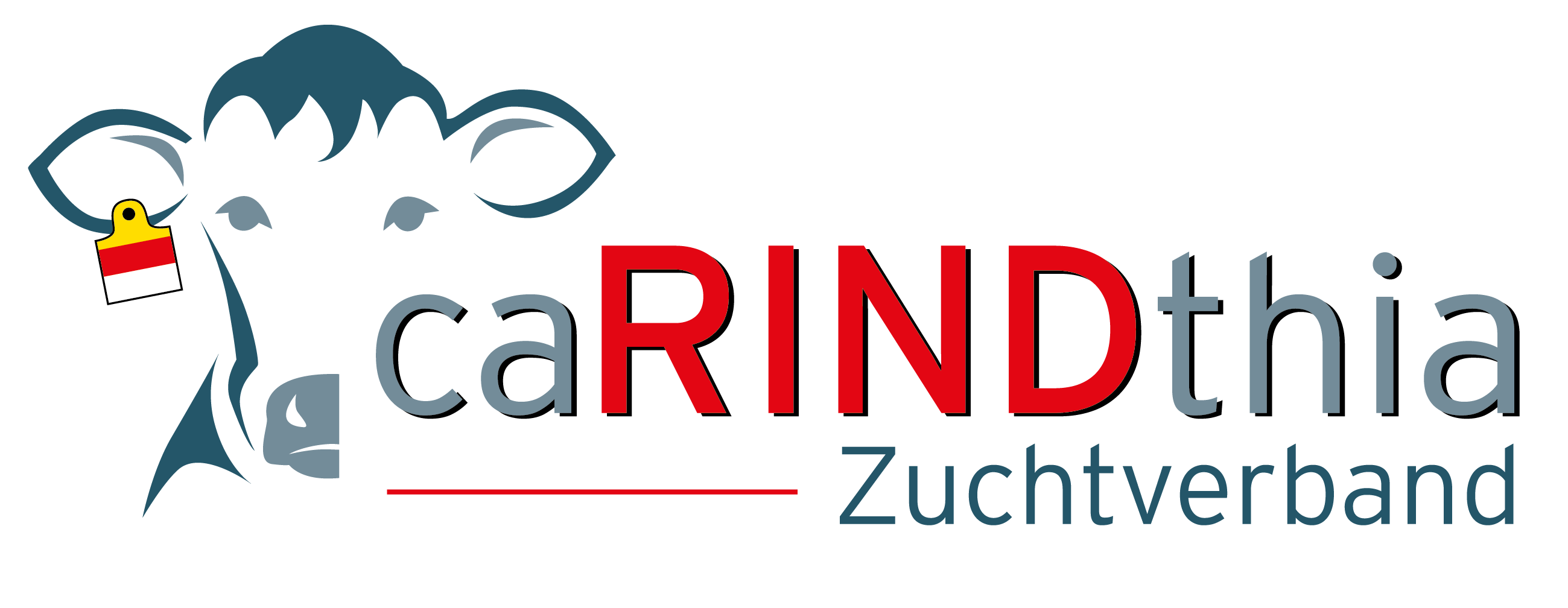 Logo Kärntnerrind